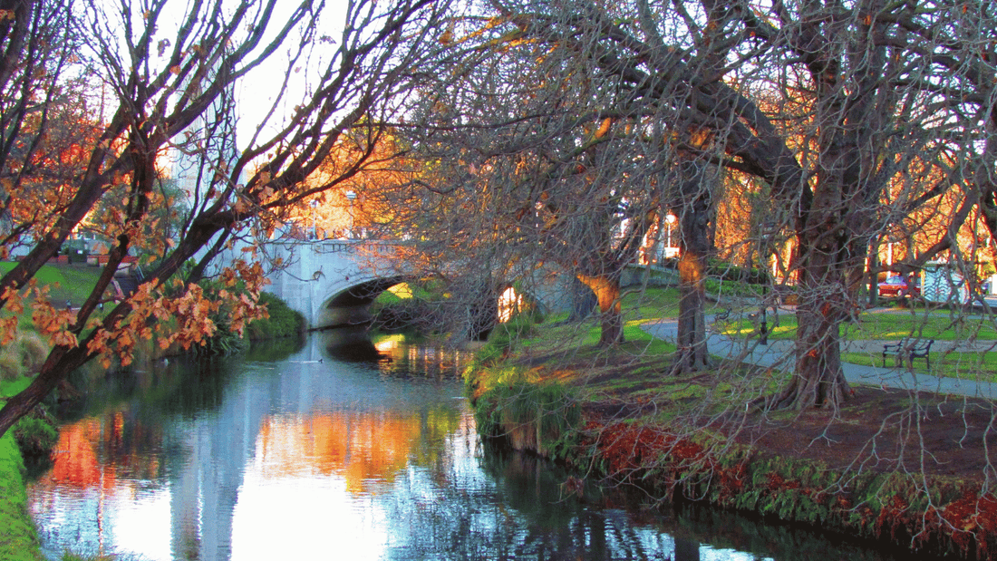 Where to Eat in Christchurch: A Local Food Guide