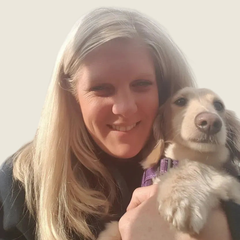A smiling blonde woman holding a small light-colored dachshund dog against a bright white background. The dog is wearing a purple collar.
