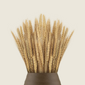 Dry wheat grass bouquet - Peartrees sustainable shop