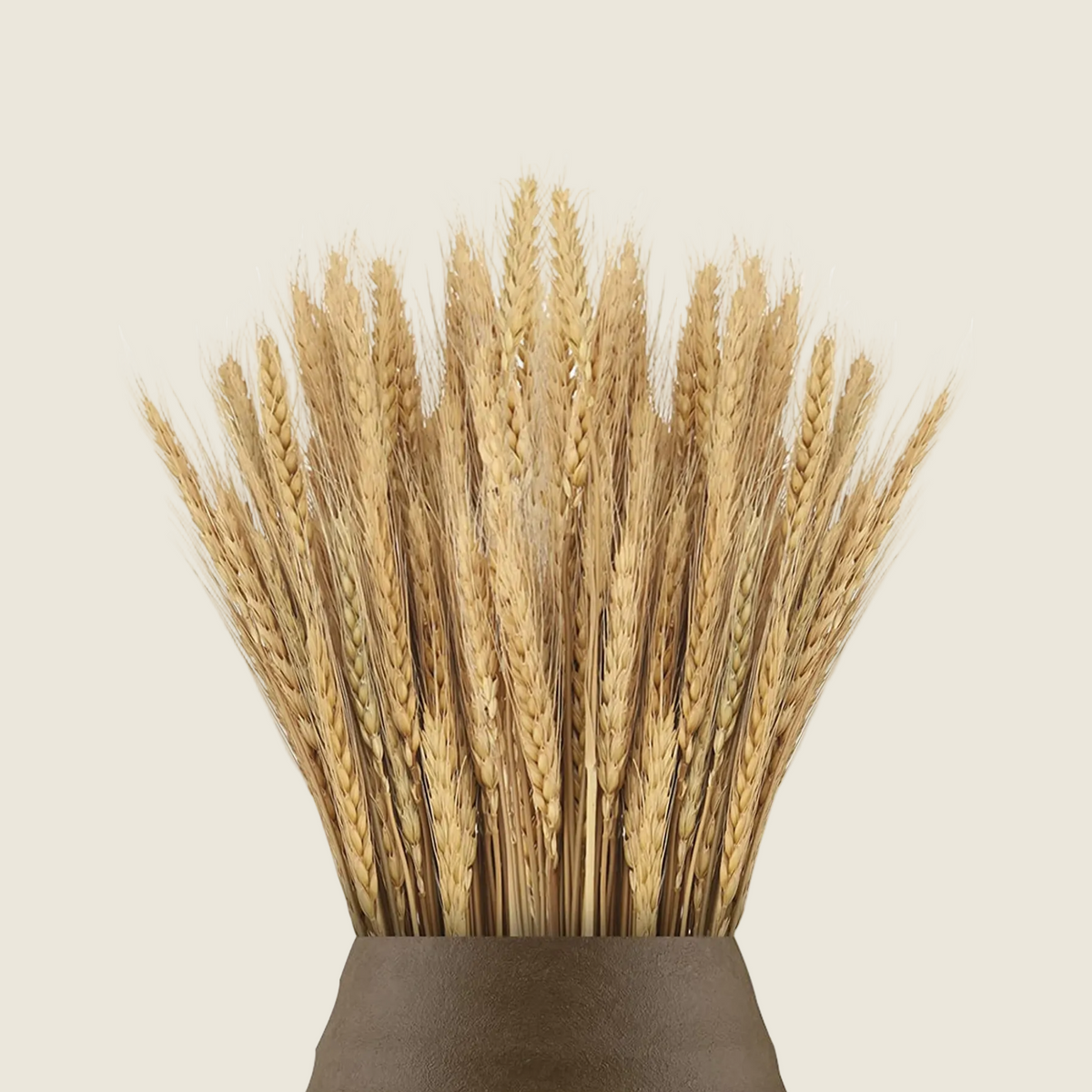 Dry wheat grass bouquet - Peartrees sustainable shop