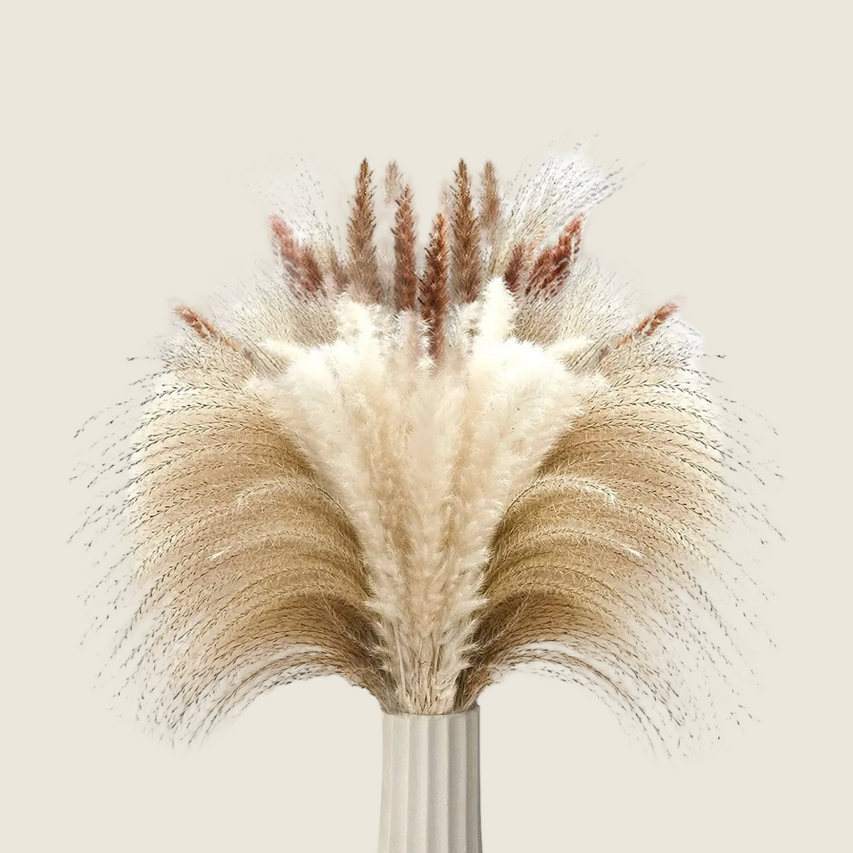 Natural dried pampas grass - Peartrees sustainable shop
