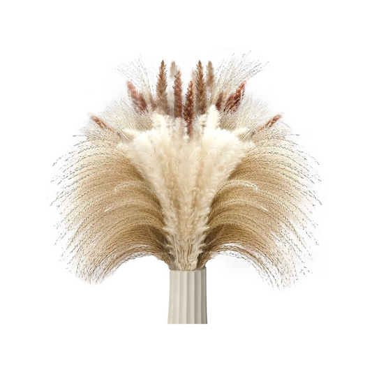 NATURAL DRIED PAMPAS GRASS